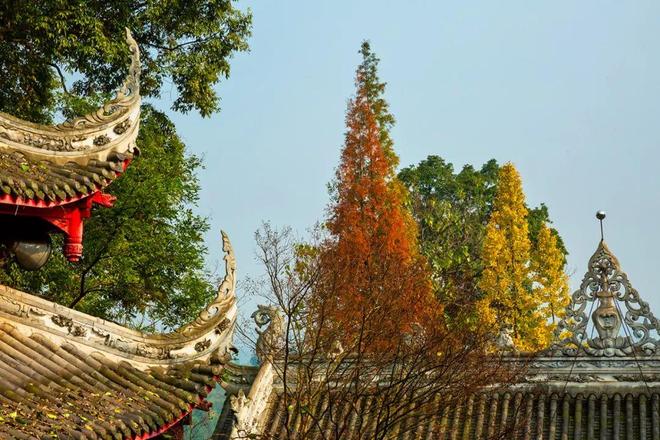 寻找其乐无穷的屋顶设计快来彭州“上房揭瓦”(图9)