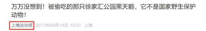 017年男子偷一只炖了萝卜上海徐家汇公园仅5只！2(图11)