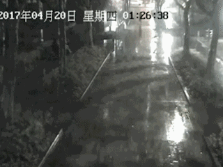 017年男子偷一只炖了萝卜上海徐家汇公园仅5只！2(图9)