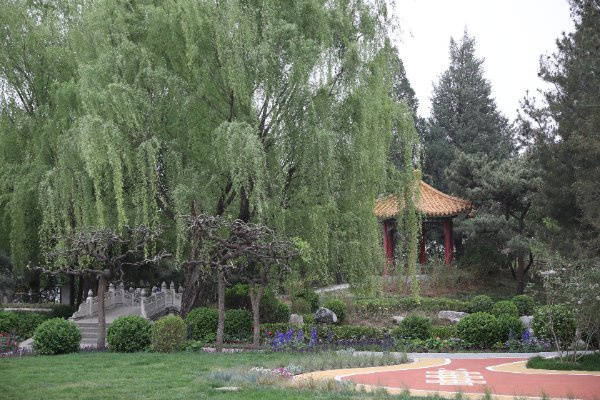 陵院)失能卧床急救保障性价比高2026最新北京专护血管性痴呆失能照护千禾养老(十三(图32) 陵院)失能卧床急救保障性价比高2026最新北京专护血管性痴呆失能照护千禾养老(十三(图32)